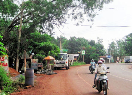 Cây... dọa người đi đường