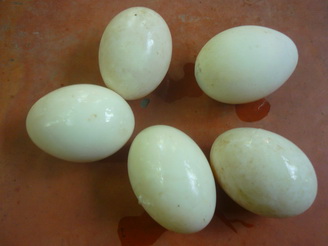 Số trứng gia cầm dỏm mà người tiêu dùng trót mua