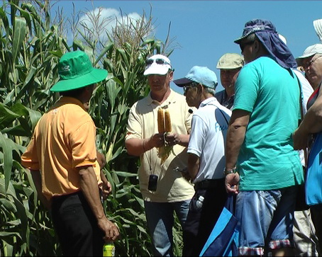 Các chuyên gia Nga đang tham quan cánh đồng bắp Xuân Lộc 
