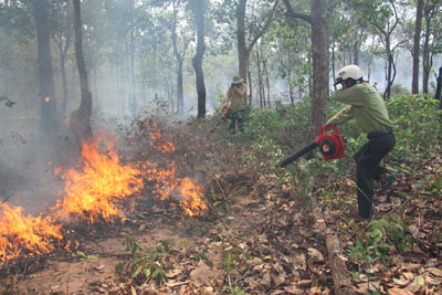 Diễn tập phòng chống cháy rừng.