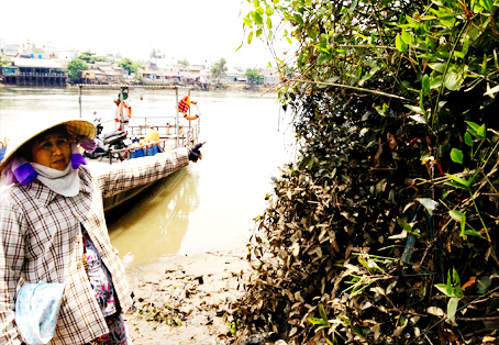 Người dân bức xúc về tình trạng dầu thải làm ô nhiễm sông Đồng Nai. Ảnh: C.Nghĩa