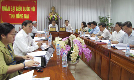 	Đầu cầu Đồng Nai do Trưởng đoàn ĐBQH, Chủ tịch HĐND tỉnh Trần Văn Tư chủ trì.