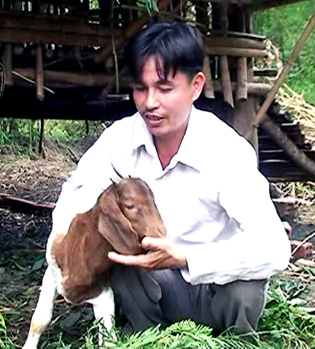 Nhờ nuôi dê, anh Lê Thanh Nhàn thu nhập mỗi năm trên 200 triệu đồng.           
