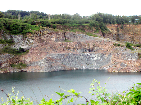 Khu vực mỏ Hóa An (TP. Biên Hòa) bị Công ty BBCC chặt hàng loạt cây xanh.