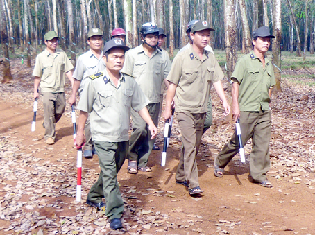 Bảo vệ Nông trường cao su Bình Sơn tuần tra bảo vệ chống nạn trộm cắp mủ.