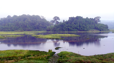 Năm 2005, khu Bàu Sấu (Vườn quốc gia Cát Tiên, huyện Tân Phú) được Ban Thư ký Công ước Ramsar công nhận là hệ đất ngập nước có tầm quan trọng quốc tế.