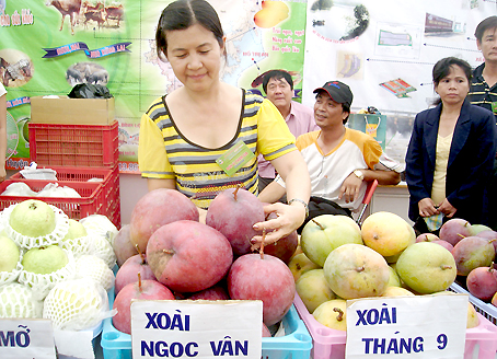 Xoài Đồng Nai được giới thiệu tại hội chợ nông nghiệp Việt Nam.