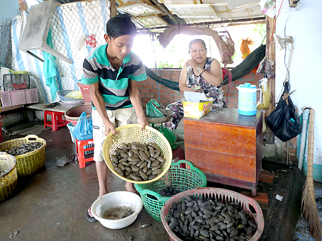 Chem chép Phước An.