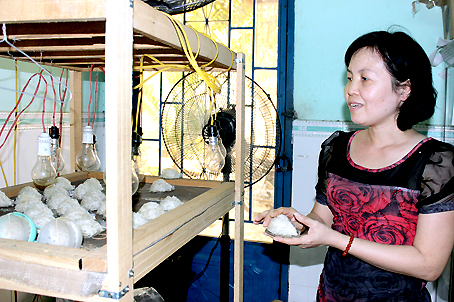Quá trình sơ chế tổ yến tại trại nuôi yến xã Sông Trầu (huyện Trảng Bom).