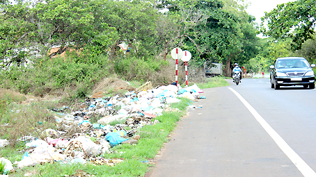 Rác thải vứt trộm ven đường khu vực xã Cẩm Đường (huyện Long Thành).