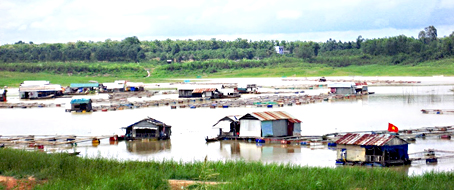 Nhánh sông Suối Co thuộc ấp 1, xã Phú Ngọc (huyện Định Quán) chi chít vèo nuôi cá mè tự lớn. Ảnh: T.NGUYÊN