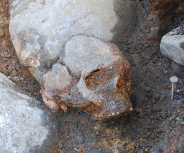 Xương sọ của một người châu Âu cổ đại được phát hiện gần đây (Nguồn: Nature)
