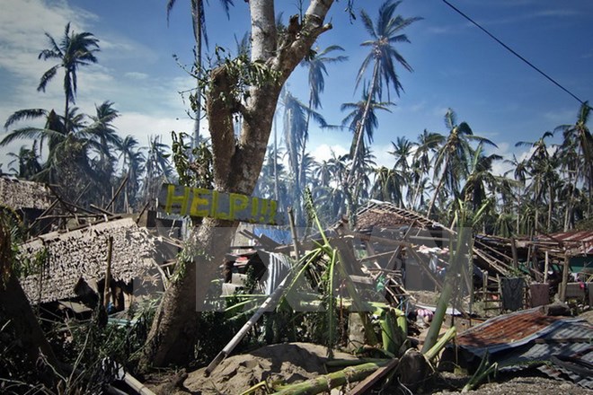 Cây cối, nhà cửa bị đổ sau khi bão Hagupit tràn qua thị trấn Taft, Đông samar, miền trung Philippines ngày 8/12. (Nguồn: AFP/TTXVN)
