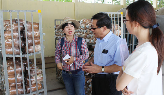 TS. Lee Song Hee, Giám đốc Trung tâm KoPIA tại Việt Nam tham quan mô hình trồng nấm bằng phế - phụ phẩm nông nghiệp. Ảnh: B.Nguyên