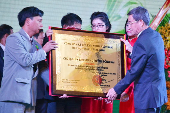 Chủ tịch UBND tỉnh Đinh Quốc Thái trao công nhận nông thôn mới cho các xã