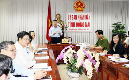 Chủ tịch UBND tỉnh Đinh Quốc Thái phát biểu tại hội nghị.