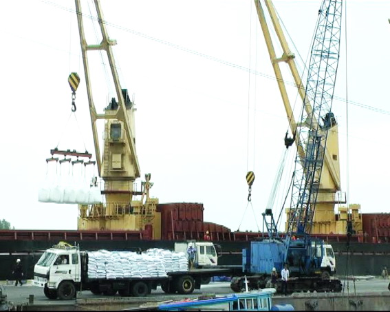 Dịp Tết, cán bộ, nhân viên Cảng Gò Dầu làm việc 3 ca liên tục để phục vụ xuất nhập khẩu hàng hóa theo yêu cầu của chủ hàng và đón tàu nước ngoài cập cảng an toàn