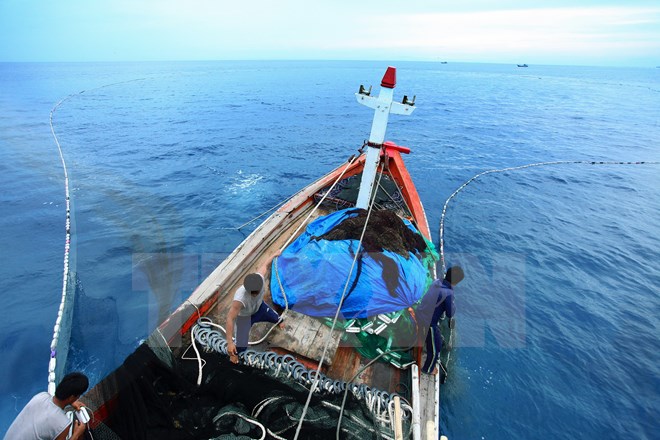 Ngư dân huyện Lý Sơn đánh bắt hải sản trên vùng biển tỉnh Quảng Ngãi. Ảnh minh họa. (Ảnh: TTXVN)