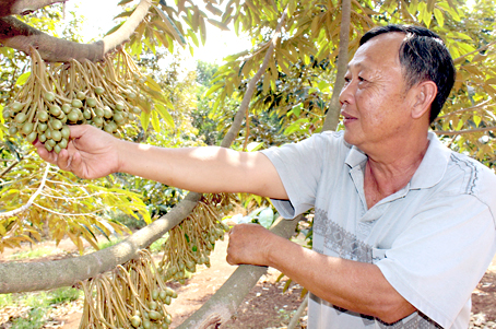 Ông Phùng Văn Tâm vẫn say mê lao động ở tuổi 60.