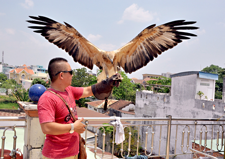 Huấn luyện, thuần dưỡng chim “vua”.