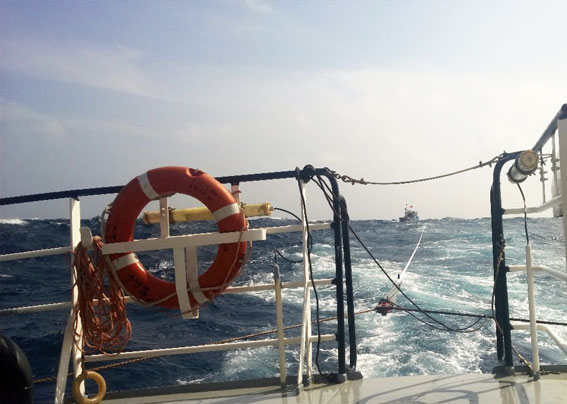 Tàu SAR 413 của TTTK Cứu nạn hàng hải khu vực III lai dắt tàu cá gặp nạn vào bờ, ảnh Mai Thắng