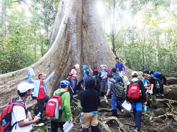 Khách du lịch thăm quan Vườn quốc gia Cát Tiên