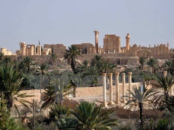 Toàn cảnh thành cổ Palmyra ngày 18/5, một ngày sau khi phiến quân IS nã rocket vào thành phố. (Nguồn: AFP/TTXVN)