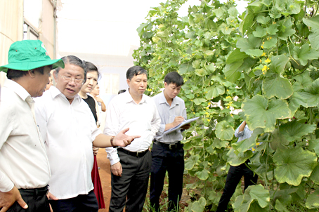 Đoàn giám sát của HĐND tỉnh tham quan mô hình trồng trọt tại Trung tâm Ứng dụng công nghệ sinh học Đồng Nai. Ảnh: B.Nguyên