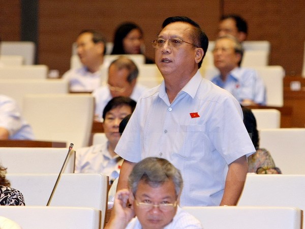 Đại biểu Quốc hội tỉnh Đắk Lắk Trần Đình Sơn phát biểu ý kiến. (Ảnh: TTXVN)