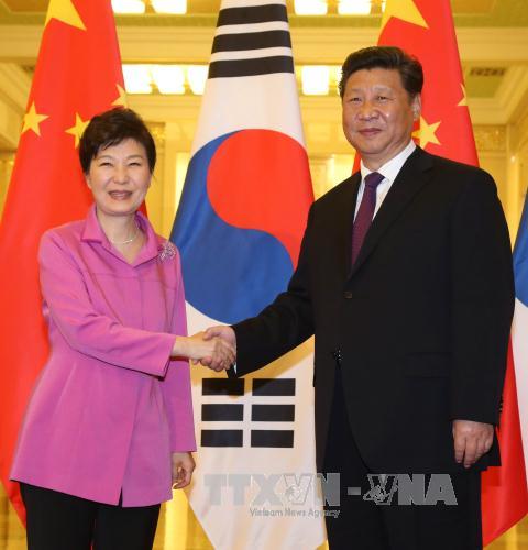 Chủ tịch nước Trung Quốc Tập Cận Bình (phải) đã có cuộc hội đàm với Tổng thống Hàn Quốc Park Geun-hye. Ảnh: AFP-TTXVN