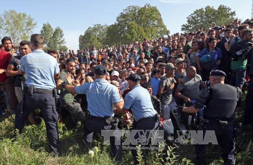 Người di cư phá vỡ rào chắn của cảnh sát để tràn vào thành phố Tovarnik, Croatia, gần biên giới Serbia ngày 17/9. Ảnh: AFP/TTXVN