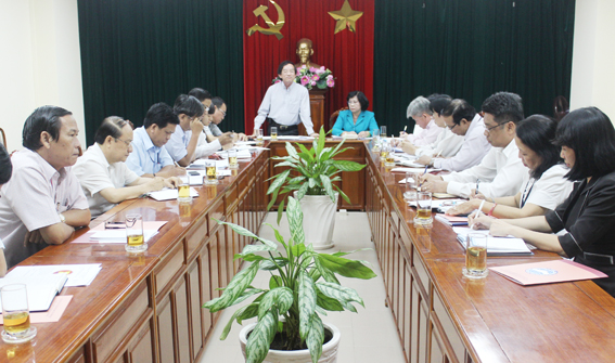     Phó chủ tịch UBND tỉnh Nguyễn Thành Trí phát biểu tại buổi làm việc.