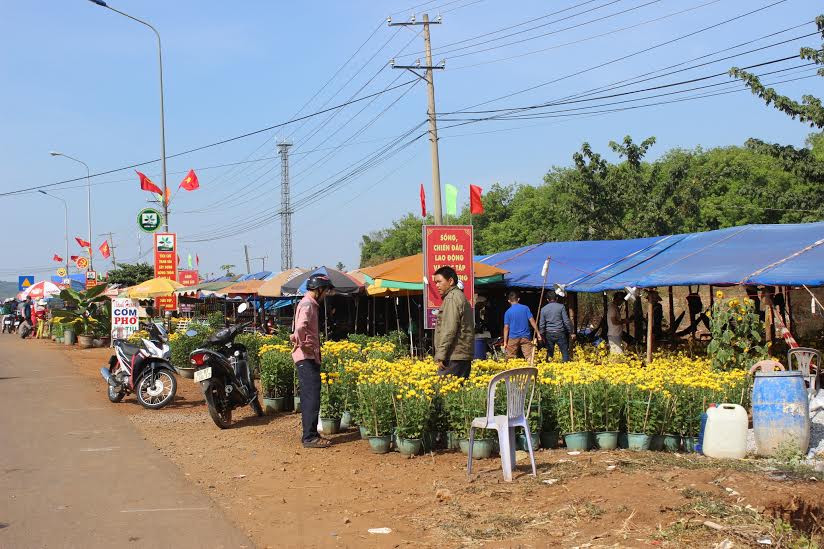 Một điểm bán hoa tết tại khu vực ngã tư Dầu Giây, xã Bàu Hàm 2, huyện Thống Nhất