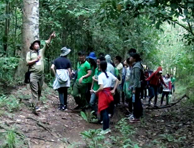 Các sinh viên tìm hiểu về các loài cây gỗ lớn bản địa Chiến khu Đ 