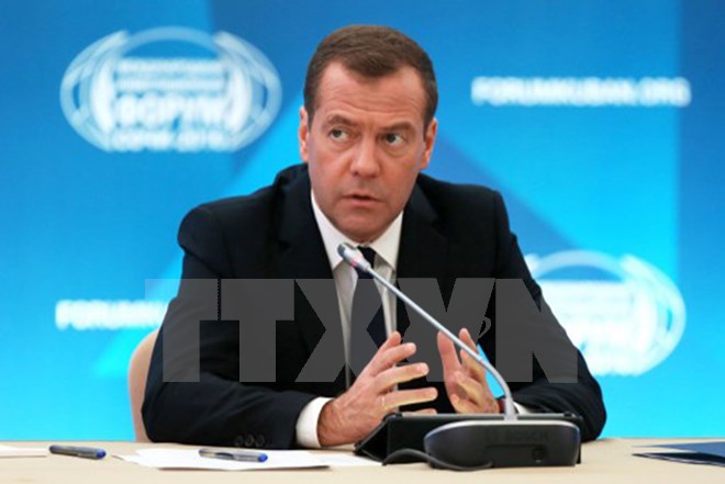 Thủ tướng Nga Dmitry Medvedev trong một cuộc họp ở Sochi, Nga. (Nguồn:Sputnik/AFP/TTXVN)