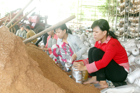 Hội viên, phụ nữ xã Bảo Quang, TX.Long Khánh đóng bịch nấm để nâng thu nhập, cải thiện cuộc sống, góp phần thực hiện tiêu chí “gia đình không đói nghèo”.