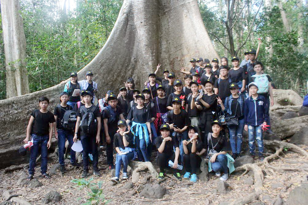Các học sinh chụp ảnh lưu niệm bên cây tung có đường kính bộ rễ lớn khoảng 20 người ôm không xuể