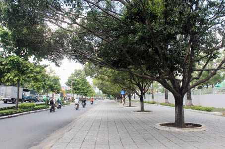  Một góc đường Nguyễn Ái Quốc (phía trước Trung tâm hội nghị và tổ chức sự kiện tỉnh) khang trang, sạch đẹp với hàng cây xanh không bị chiếm dụng để treo quảng cáo.