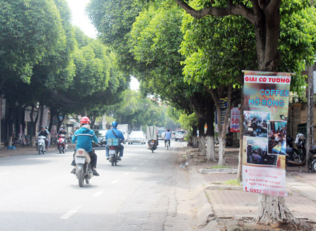 Thông tin về hội thi cờ tướng của một quán cà phê cũng được treo trên cây xanh ở đường Phan Trung.