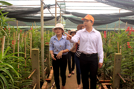 Đoàn giám sát tham quan mô hình vườn lan Mokara cắt cành tại Trung tâm Ứng dụng công nghệ sinh học Đồng Nai. Ảnh: B.Nguyên