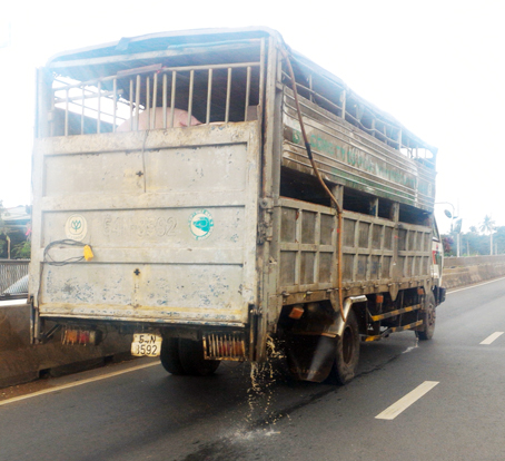 Xe chở heo xả chất thải dọc đường