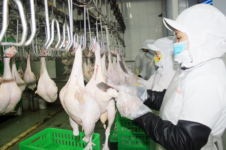 Dây chuyền giết mổ gia cầm Công ty TNHH chăn nuôi Long Bình (huyện Trảng Bom), doanh nghiệp đã đăng ký tham gia truy xuất nguồn gốc gia cầm vào TP.Hồ Chí Minh.