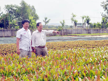 Ông Nguyễn Trọng Sử (trái) đưa khách đi tham quan vườn ươm cây giống.