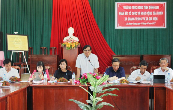 Phó chủ tịch HĐND tỉnh Nguyễn Sơn Hùng phát biểu tại buổi giám sát.