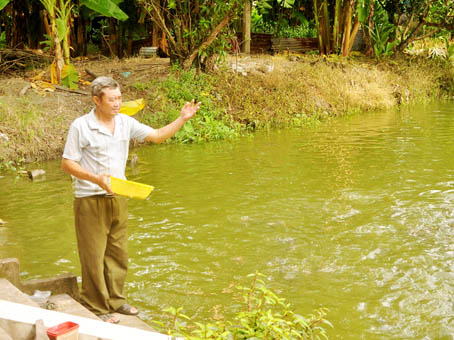 Ông Vũ Hữu Ngận (huyện Long Thành) cho cá ăn tại trang trại của gia đình.