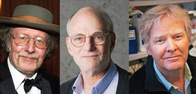 Giải Nobel Y học 2017 thuộc về ba nhà khoa học Mỹ