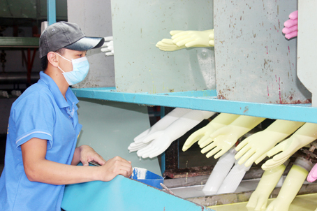 Dây chuyền sản xuất găng tay cao su tự động của Công ty TNHH Nam Long (huyện Long Thành).