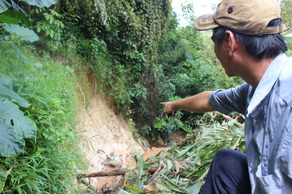 Khoảnh đất phía sau nhà các hộ dân ở tổ 21, ấp Thái Hòa đã sạt lở nhiều mảng lớn.
