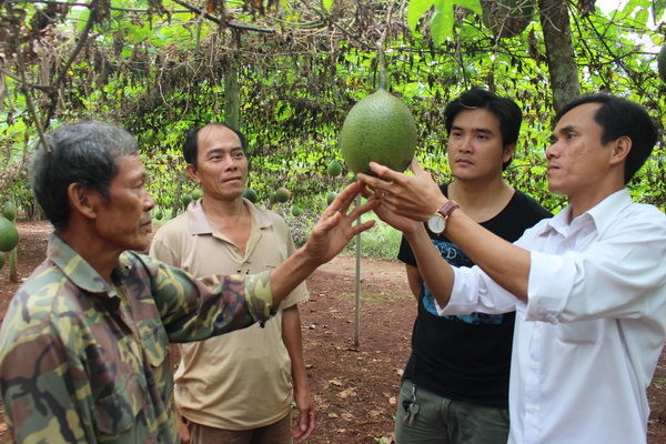 Cử nhân Nguyễn Tiến Chương (bìa phải) giới thiệu với nông dân về vườn gấc của mình.
