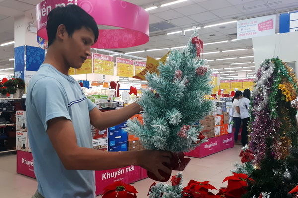 Khách hàng lựa chọn mua cây thông Noel tại Co.op Mart Biên Hòa.